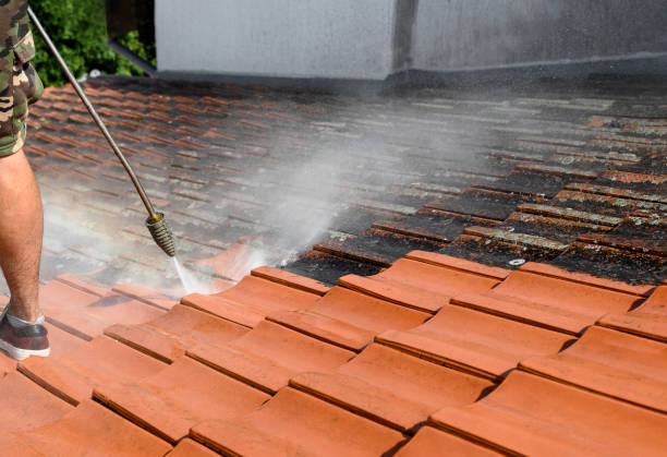 Best Exterior Home Cleaning  in Olympia Fields, IL