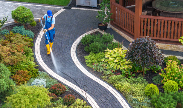 Best Affordable Power Washing  in Olympia Fields, IL